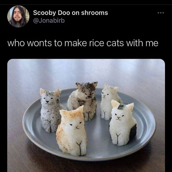 50 Of The Most Hilarious And Cute &lsquo;Cats Without Context&rsquo; To Brighten Your Day