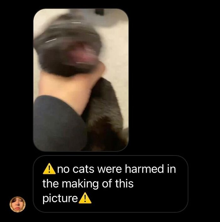 50 Of The Most Hilarious And Cute &lsquo;Cats Without Context&rsquo; To Brighten Your Day