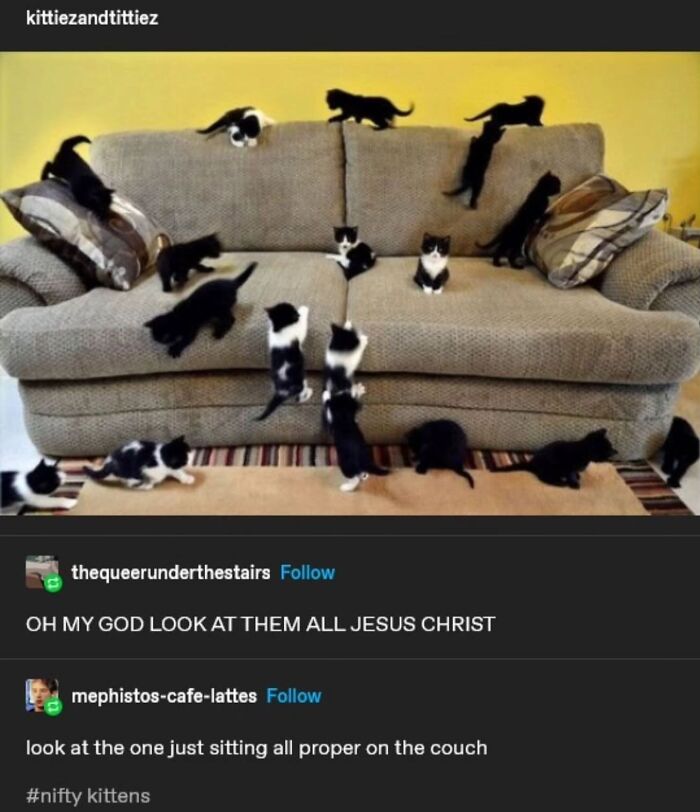 50 Of The Most Hilarious And Cute &lsquo;Cats Without Context&rsquo; To Brighten Your Day