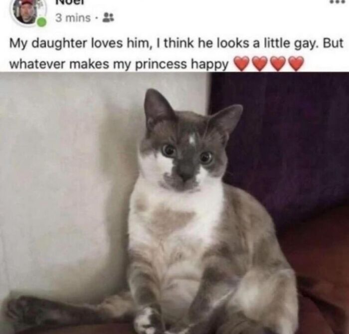 50 Of The Most Hilarious And Cute &lsquo;Cats Without Context&rsquo; To Brighten Your Day