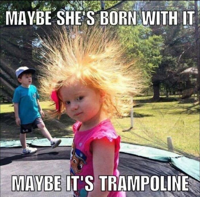 These 41 Random Memes Are The Exact Kind Of Nonsense Your Brain Needs Right Now