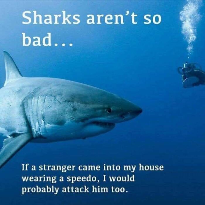 These 41 Random Memes Are The Exact Kind Of Nonsense Your Brain Needs Right Now