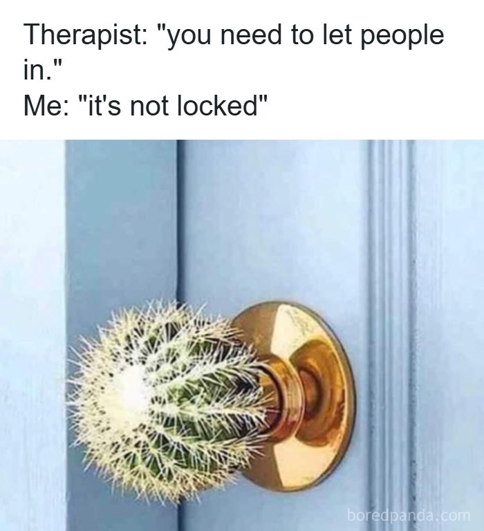 These 41 Random Memes Are The Exact Kind Of Nonsense Your Brain Needs Right Now