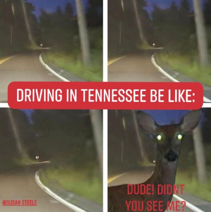 These 41 Random Memes Are The Exact Kind Of Nonsense Your Brain Needs Right Now