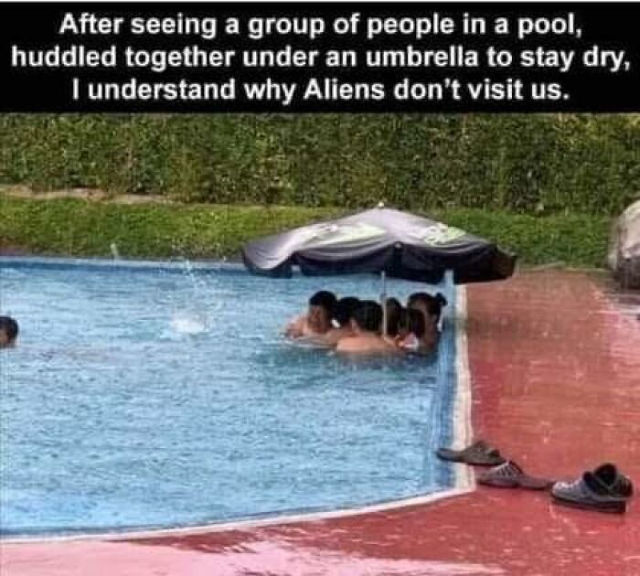 These 41 Random Memes Are The Exact Kind Of Nonsense Your Brain Needs Right Now