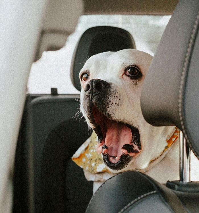 55 Times Drivers Completely Lost Their Minds On The Road, Proving Road Rage Is No Joke