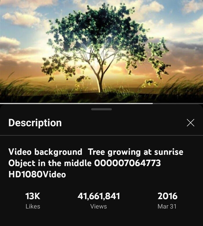 35 Internet Mysteries That Disturbed People For Years, But Have An Easier Explanation Than It Might Seem