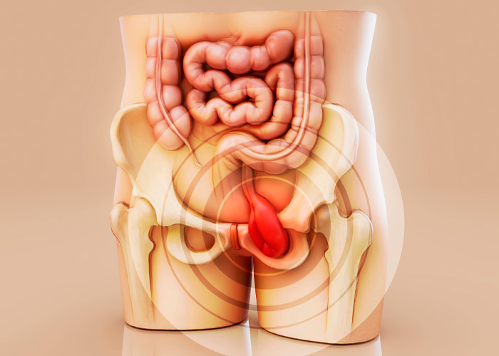 Experts Reveal Why Most People Poop Incorrectly And The Two Best Fixes
