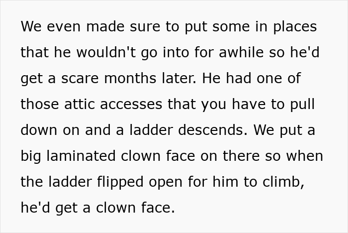 Guy Comes Back From Business Trip After Cheating, Finds His Entire House Filled With Clowns