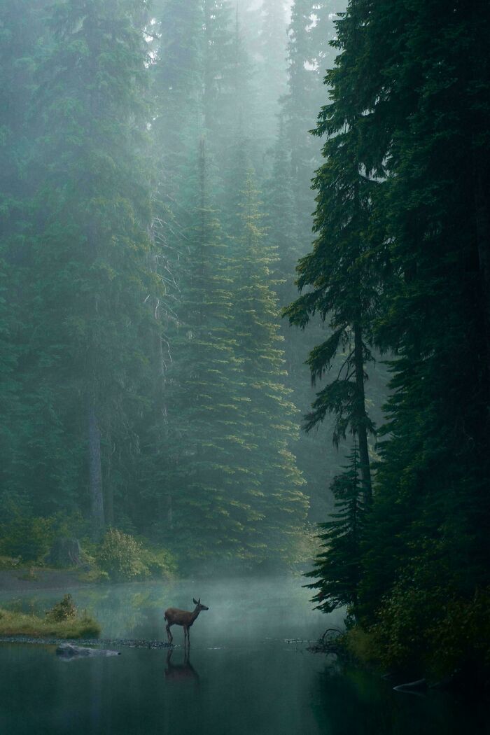 83 Surprisingly Satisfying Photos That Feel Like A Deep Breath For Your Brain
