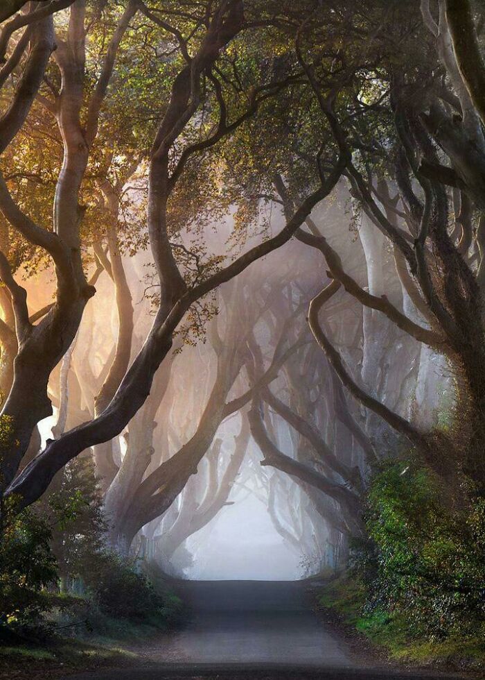 83 Surprisingly Satisfying Photos That Feel Like A Deep Breath For Your Brain