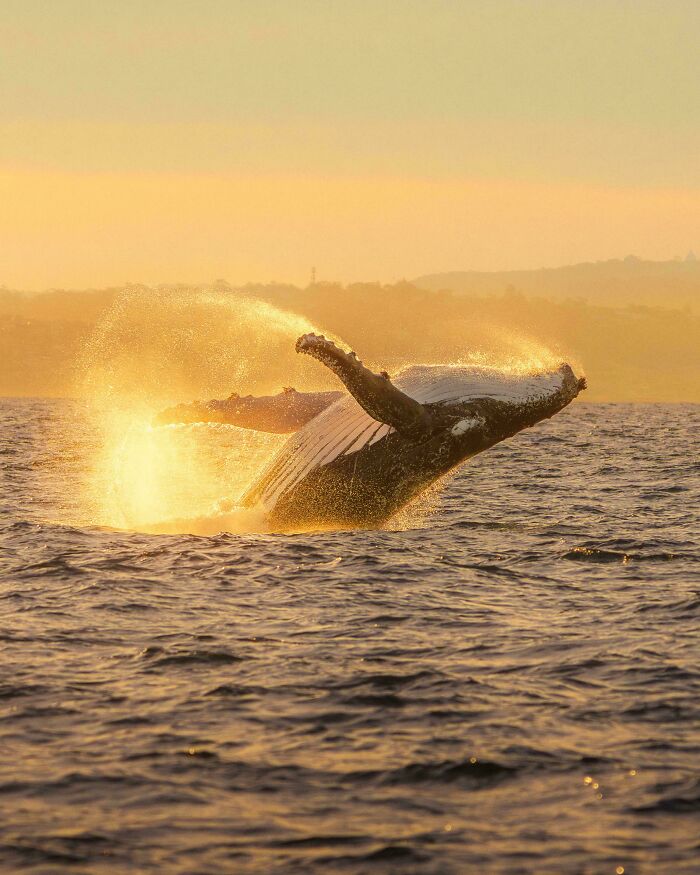 83 Surprisingly Satisfying Photos That Feel Like A Deep Breath For Your Brain