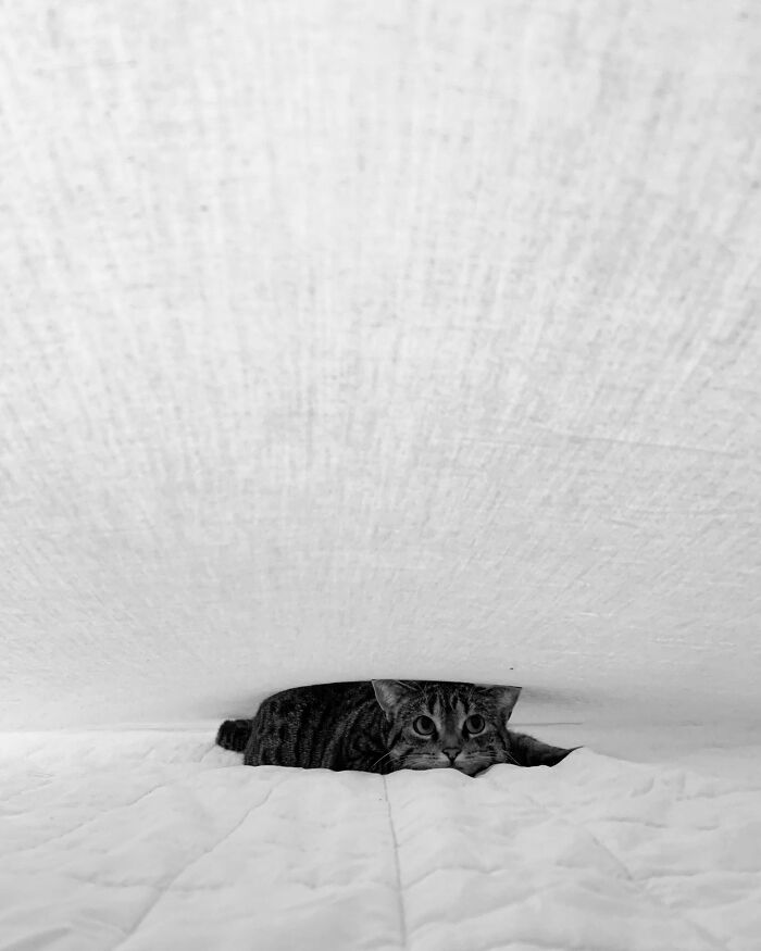 83 Surprisingly Satisfying Photos That Feel Like A Deep Breath For Your Brain