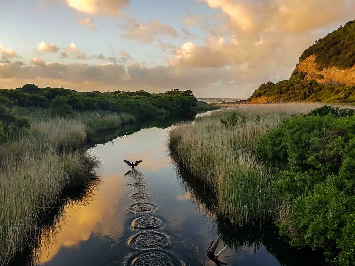 83 Surprisingly Satisfying Photos That Feel Like A Deep Breath For Your Brain
