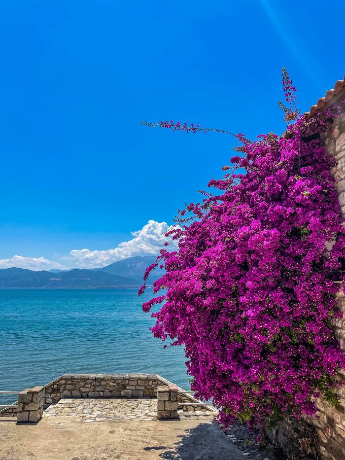83 Surprisingly Satisfying Photos That Feel Like A Deep Breath For Your Brain