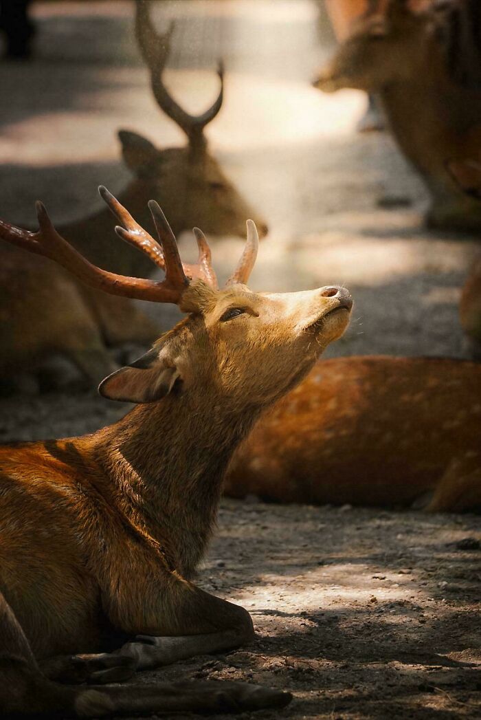 83 Surprisingly Satisfying Photos That Feel Like A Deep Breath For Your Brain