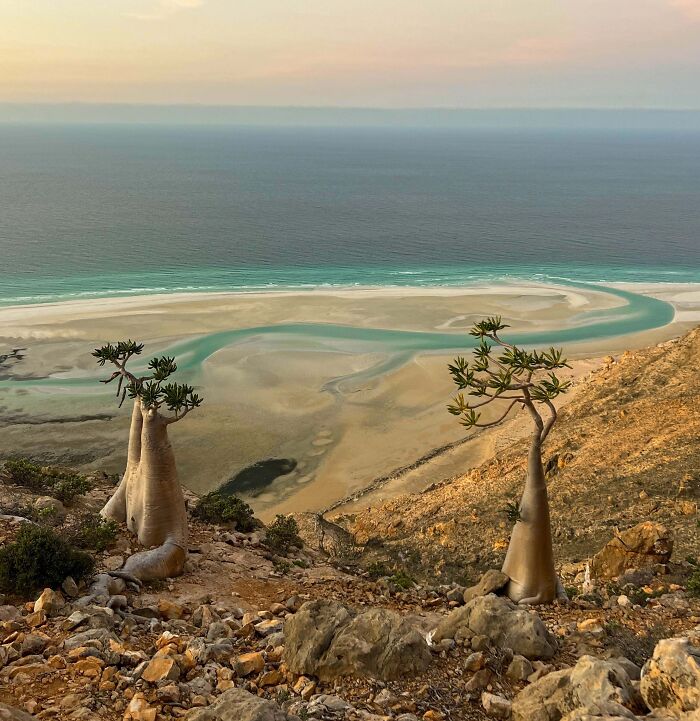 83 Surprisingly Satisfying Photos That Feel Like A Deep Breath For Your Brain