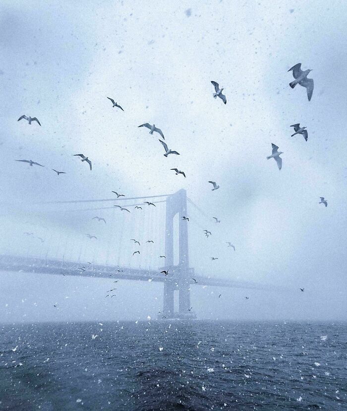 83 Surprisingly Satisfying Photos That Feel Like A Deep Breath For Your Brain
