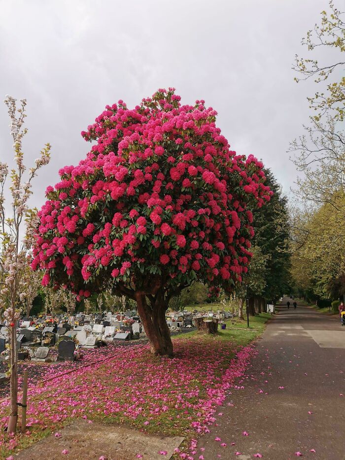 83 Surprisingly Satisfying Photos That Feel Like A Deep Breath For Your Brain