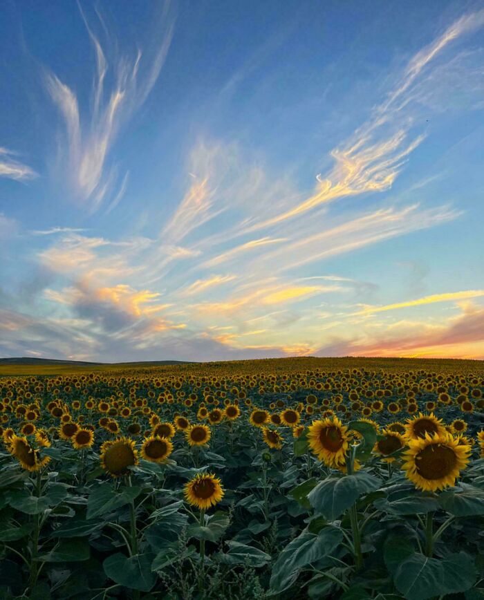 83 Surprisingly Satisfying Photos That Feel Like A Deep Breath For Your Brain