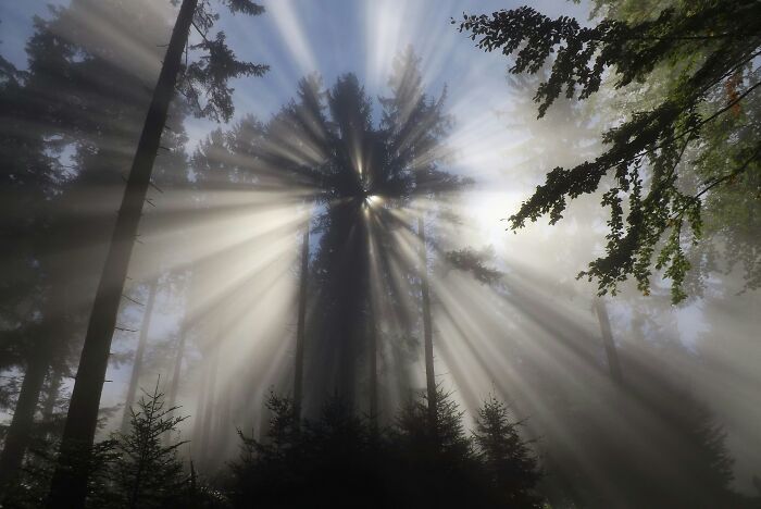 83 Surprisingly Satisfying Photos That Feel Like A Deep Breath For Your Brain