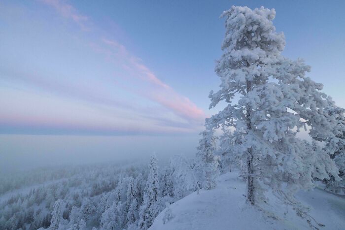 83 Surprisingly Satisfying Photos That Feel Like A Deep Breath For Your Brain