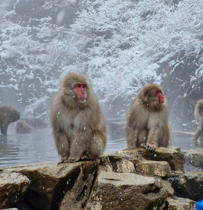83 Surprisingly Satisfying Photos That Feel Like A Deep Breath For Your Brain