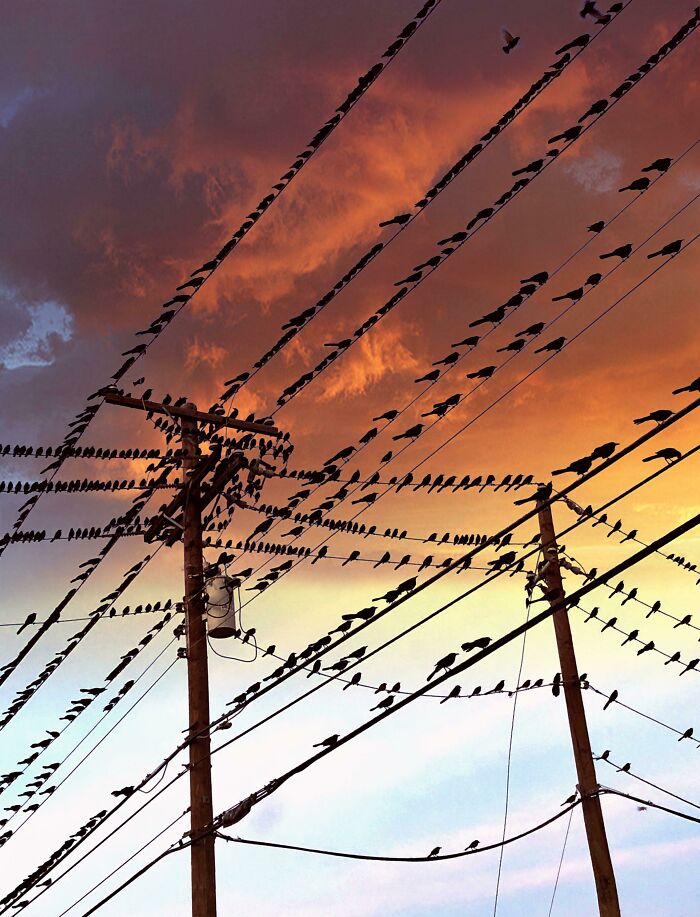 83 Surprisingly Satisfying Photos That Feel Like A Deep Breath For Your Brain