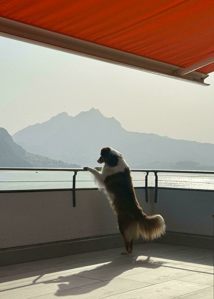 83 Surprisingly Satisfying Photos That Feel Like A Deep Breath For Your Brain