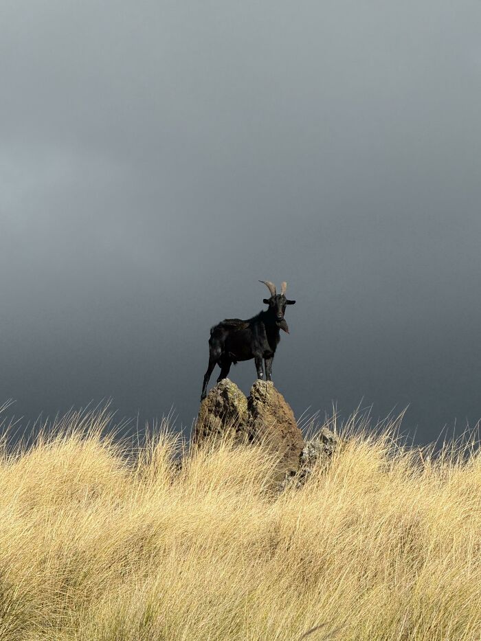 83 Surprisingly Satisfying Photos That Feel Like A Deep Breath For Your Brain