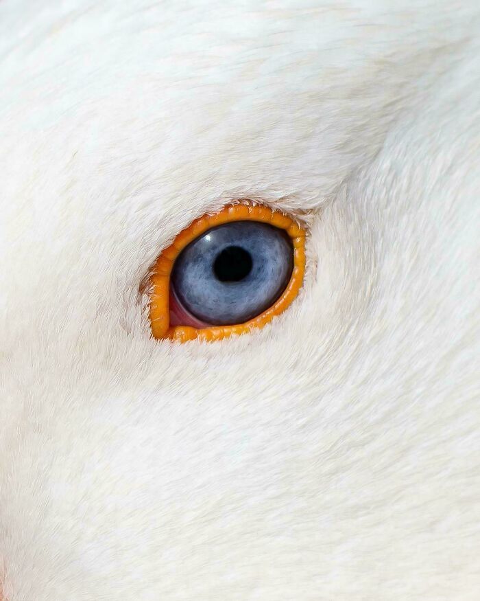 83 Surprisingly Satisfying Photos That Feel Like A Deep Breath For Your Brain