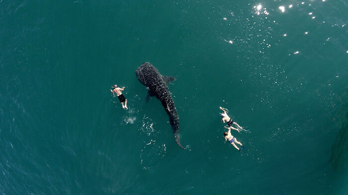 83 Surprisingly Satisfying Photos That Feel Like A Deep Breath For Your Brain