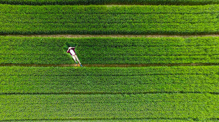83 Surprisingly Satisfying Photos That Feel Like A Deep Breath For Your Brain
