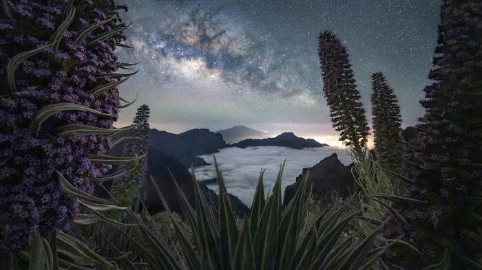 Milky Way Photographer Of The Year: 25 Stunning Winning Photos That Capture The Beauty Of Our Galaxy
