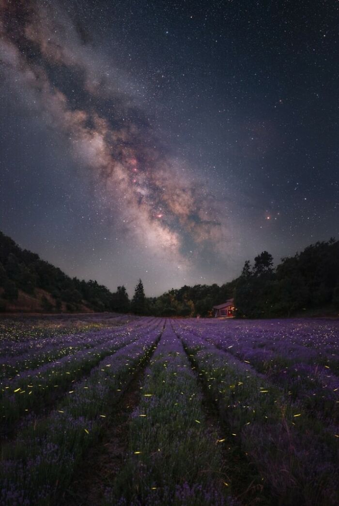 Milky Way Photographer Of The Year: 25 Stunning Winning Photos That Capture The Beauty Of Our Galaxy