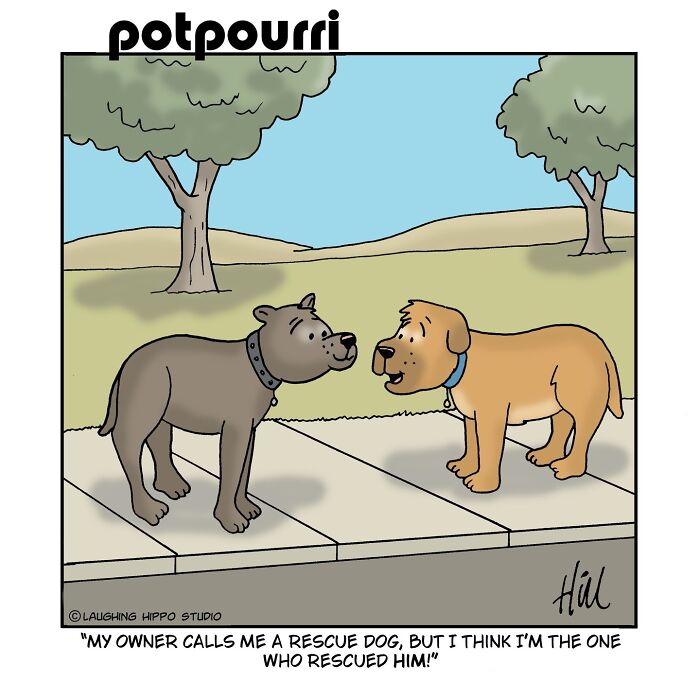 This Artist&rsquo;s 30 Comics That Prove Dogs Are Adorable, Chaotic, And Slightly Unhinged Roommates