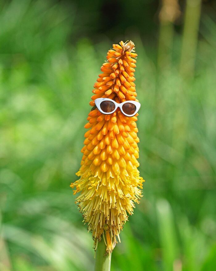 30 Funny And Creative Photos By This Artist That Might Brighten Your Day