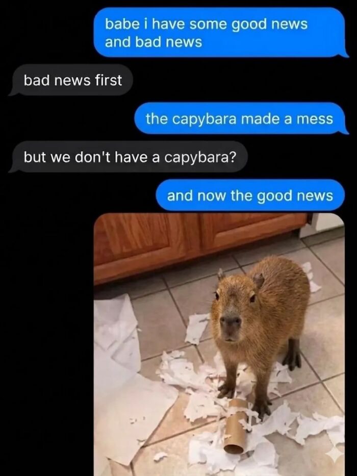 39 Memes Shared By This Page That Show How Cute And Relatable Capybaras Are