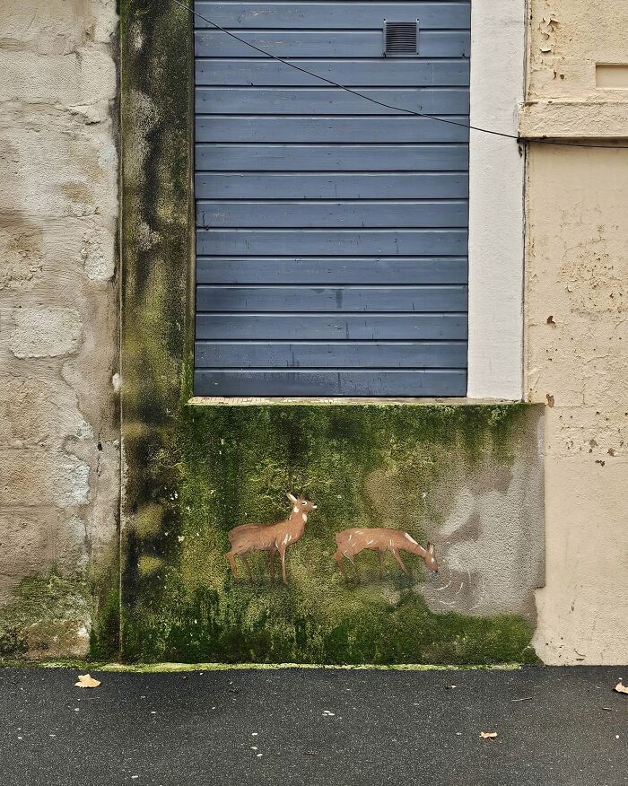 This Artist Turns Cracks And Broken Walls Into Art, 40 Clever Street Interventions By Oakoak (New Pics)
