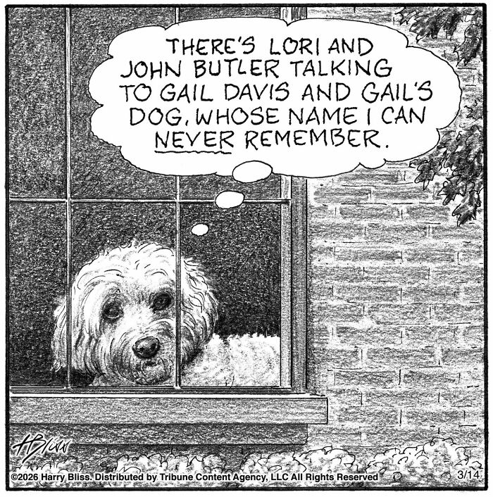 This New Yorker Cartoonist Creates Wholesome And Humorous One-Panel Dog Comics (40 Pics)