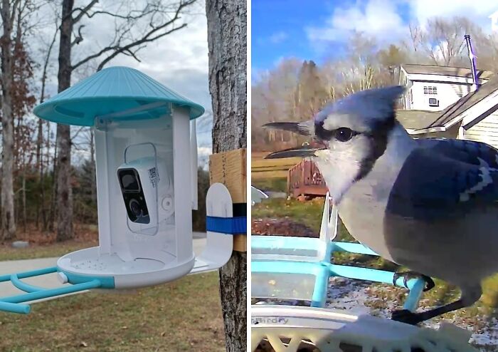 22 Last Minute Mother’s Day Gifts That Are So Good Nobody Has To Know You Ordered Them Yesterday