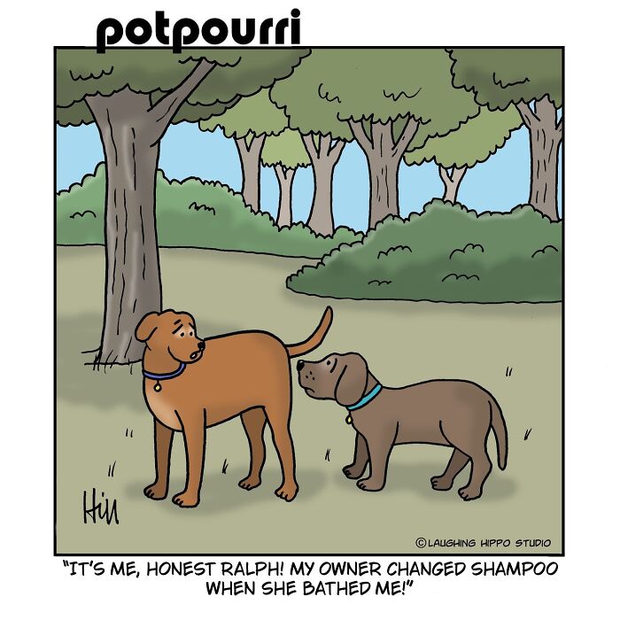 This Artist&rsquo;s 30 Comics That Prove Dogs Are Adorable, Chaotic, And Slightly Unhinged Roommates