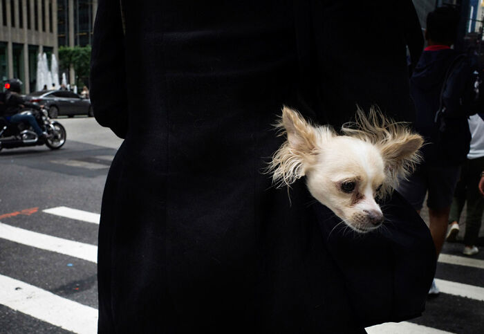 39 Powerful Street Photography Shots By This New York-Based Photographer