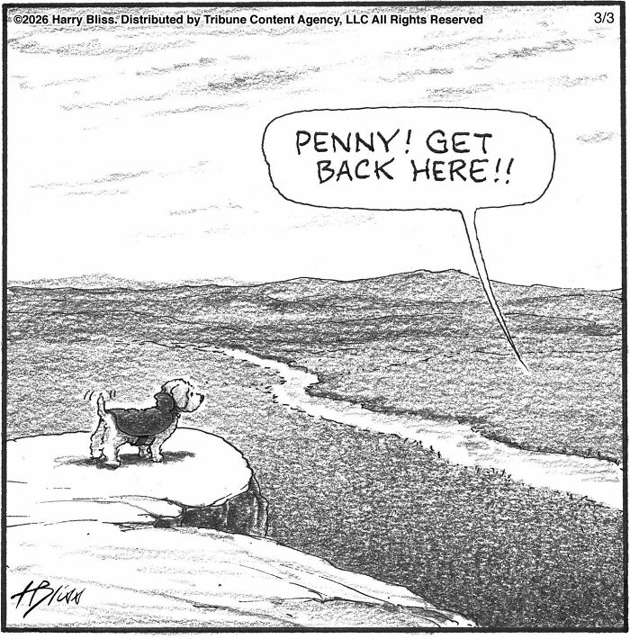 This New Yorker Cartoonist Creates Wholesome And Humorous One-Panel Dog Comics (40 Pics)