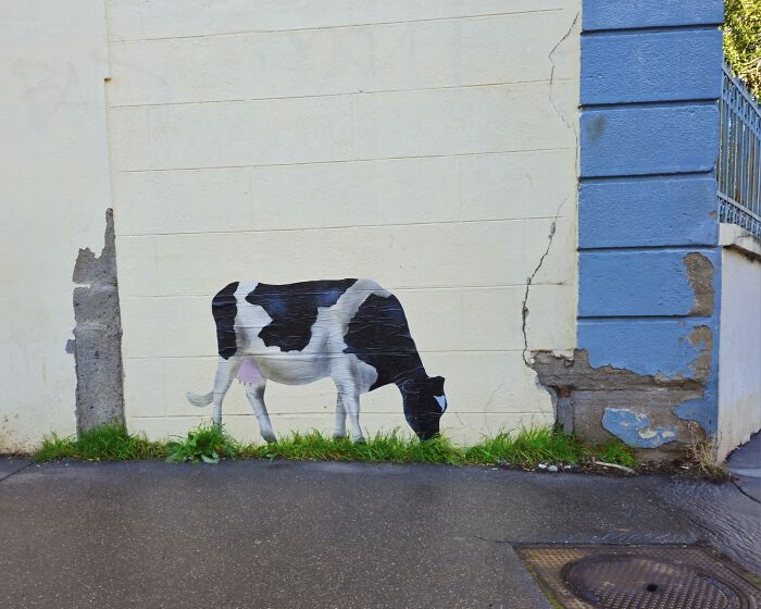 This Artist Turns Cracks And Broken Walls Into Art, 40 Clever Street Interventions By Oakoak (New Pics)