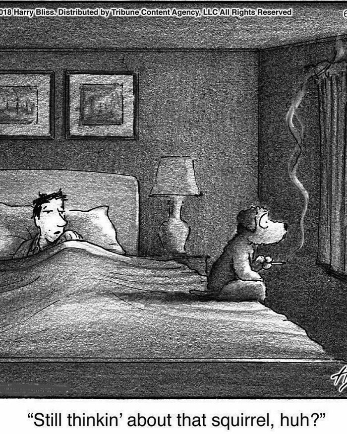 This New Yorker Cartoonist Creates Wholesome And Humorous One-Panel Dog Comics (40 Pics)