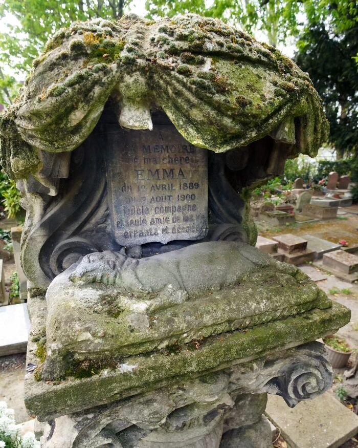 This Photographer Explored Pet Cemeteries Worldwide, Capturing 23 Touching Images Of Pet Graves (New Pics)
