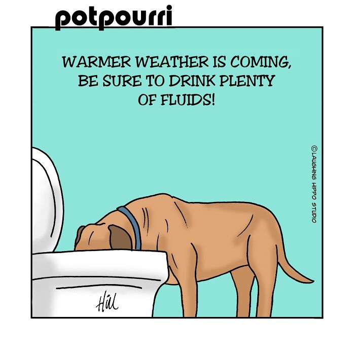 This Artist&rsquo;s 30 Comics That Prove Dogs Are Adorable, Chaotic, And Slightly Unhinged Roommates
