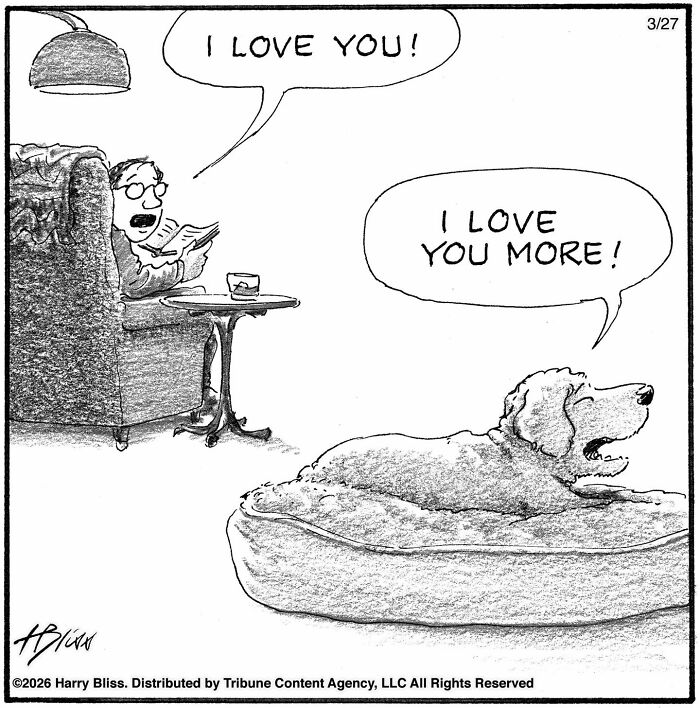 This New Yorker Cartoonist Creates Wholesome And Humorous One-Panel Dog Comics (40 Pics)