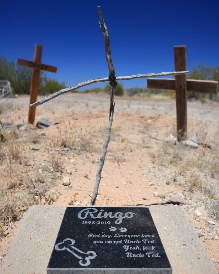 This Photographer Explored Pet Cemeteries Worldwide, Capturing 23 Touching Images Of Pet Graves (New Pics)